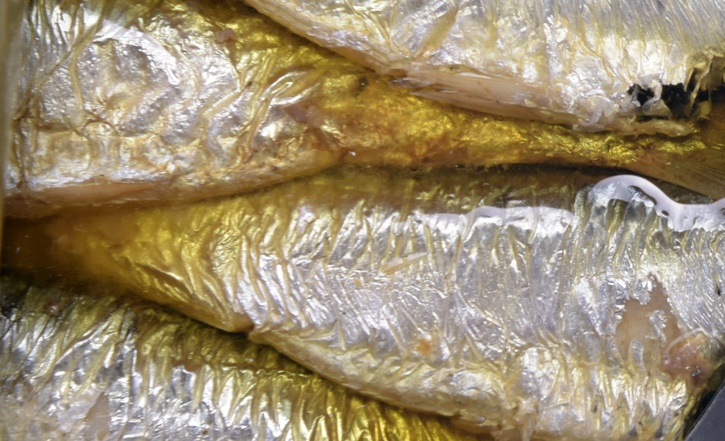 Sardines & Sturgeon Fillets
